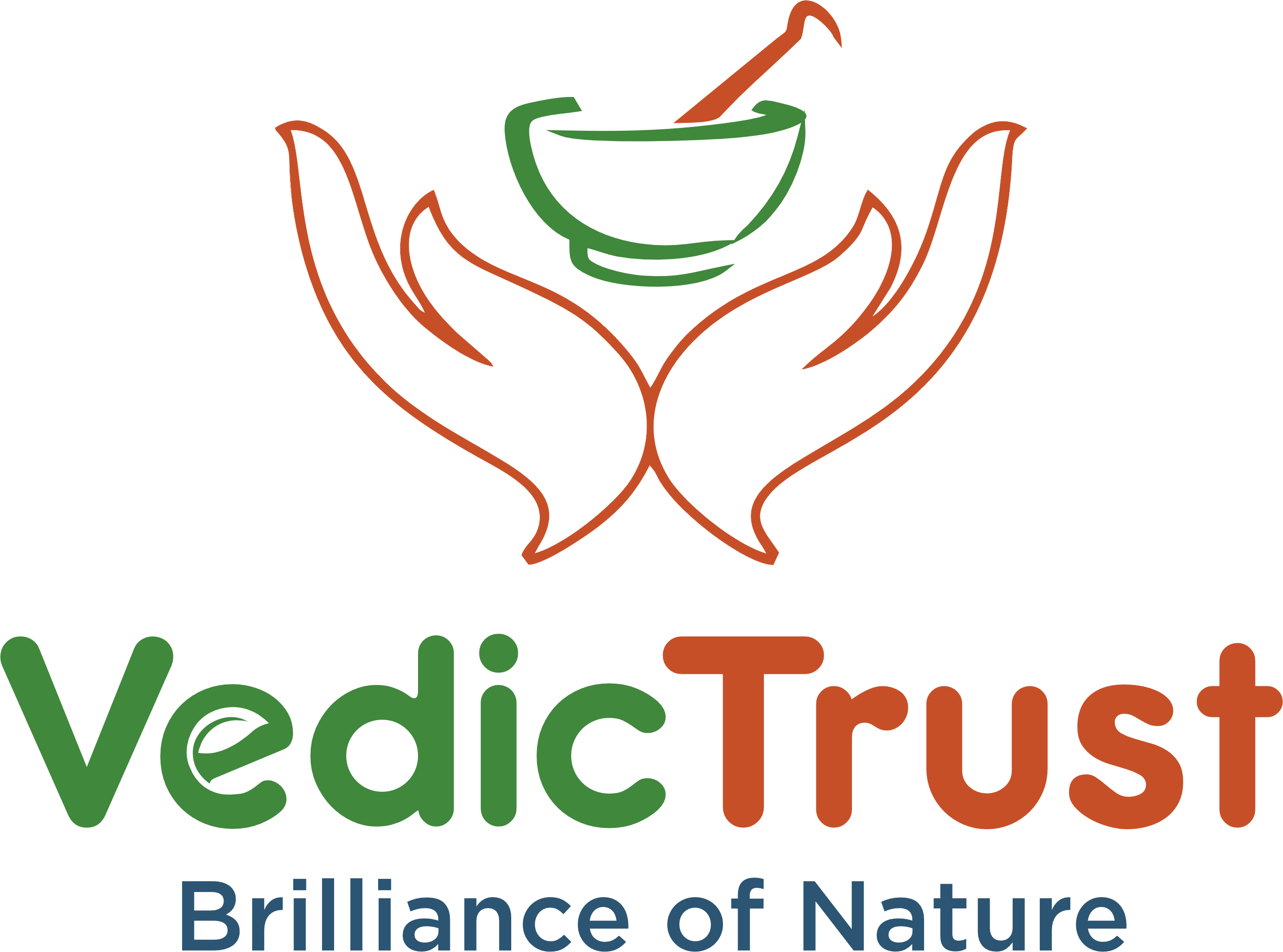 Vedic Logo 01 extra border